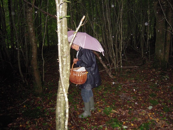 Ginette cherche les grenouilles